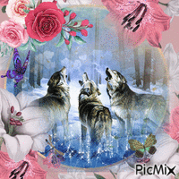 Contest: Wolf, spring, watercolor - Free animated GIF