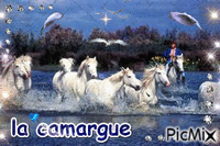la camargue - Бесплатный анимированный гифка