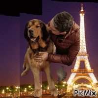 Kutya Párizs