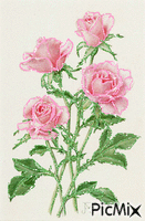 ruže - Δωρεάν κινούμενο GIF