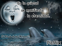 luna llena con delfines en el mar - GIF animasi gratis
