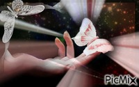 papillion - GIF animé gratuit