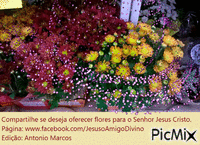 Flores para Jesus 1 - Kostenlose animierte GIFs