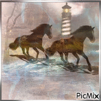 Horses - Free animated GIF