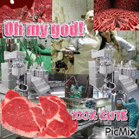 MEAT LAB - Free animated GIF