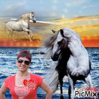 Horse love Animated GIF