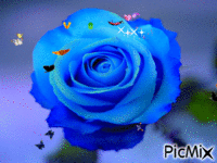 Rose bleu et papillon - Zdarma animovaný GIF