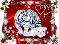 tigre blanc et son petit κινούμενο GIF
