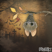 Cutie Bat - GIF animé gratuit