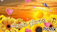 buon giorno - Darmowy animowany GIF