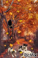 Herbst - Darmowy animowany GIF