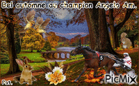 Le champion Angelo Am. - GIF animé gratuit