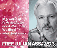 assange - Free animated GIF