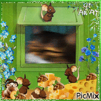 Go Away. Cat and many mouse - GIF animasi gratis
