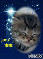 Dolce Notte - Free animated GIF
