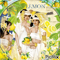 Citron (lemon) contest