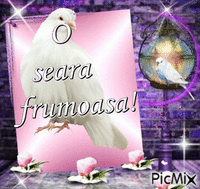 O SEARA FRUMOASA - Бесплатный анимированный гифка