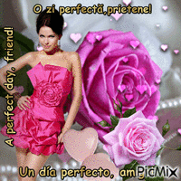 A perfect day, friend!d animuotas GIF