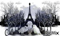 chouette Paris animovaný GIF