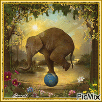 Elefante equilibrista - Ingyenes animált GIF