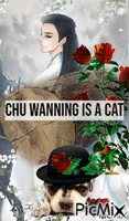 chu wanning2 - GIF เคลื่อนไหวฟรี