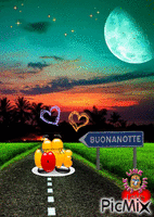 BUONANOTTE - Zdarma animovaný GIF