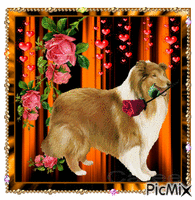 Dog with a rose анимиран GIF