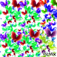 butterfly background animerad GIF