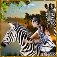 Zebra's animált GIF