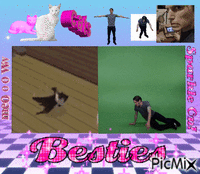 jerma and breakdancing cat besties анимирани ГИФ