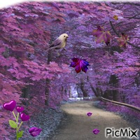 autunno - Free PNG
