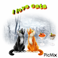 I Love Cats animovaný GIF