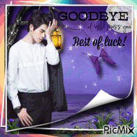 goodbye Hoya and best of luck - GIF animado grátis