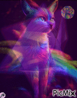 Gato cósmico y Ganhesa animeret GIF