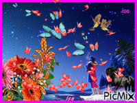 papillon - GIF animate gratis