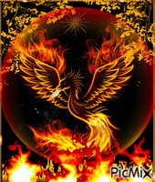 Phoenix - Darmowy animowany GIF