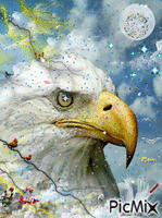 Eagle2015 - GIF animado gratis