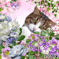 Chat mignon avec des fleurs