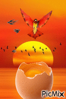 Fondo naranjas animovaný GIF