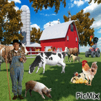 granja - GIF animate gratis
