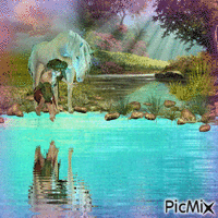 Fantasy Unicorn & The Pixie - Free animated GIF