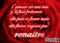 la rose de l'amour - Безплатен анимиран GIF