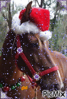 Christmas Horse анимированный гифка
