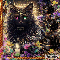 Magical black cat-contest - GIF animé gratuit