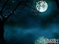 krásný večer - Bezmaksas animēts GIF