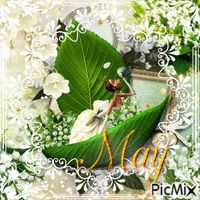 Happy May the 1st! - GIF animasi gratis