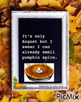 Pumpkin Spice animoitu GIF