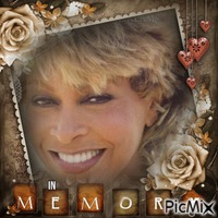 Tina Turner-RM-06-02-23 - Бесплатный анимированный гифка
