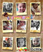 SARINHA 动画 GIF