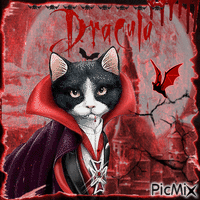 Dracula cat GIF animado
